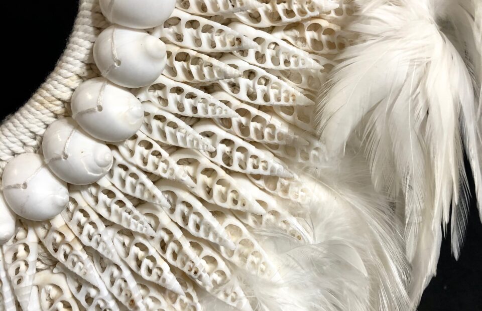 White-Feathers-4