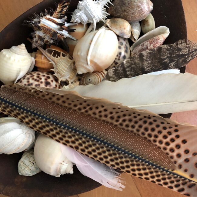 Shells and Feathers – an abundance of wealth