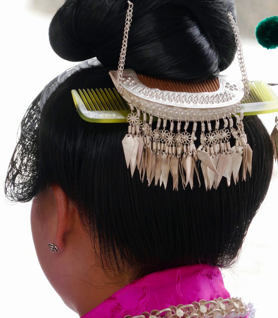 Detail-hair-comb